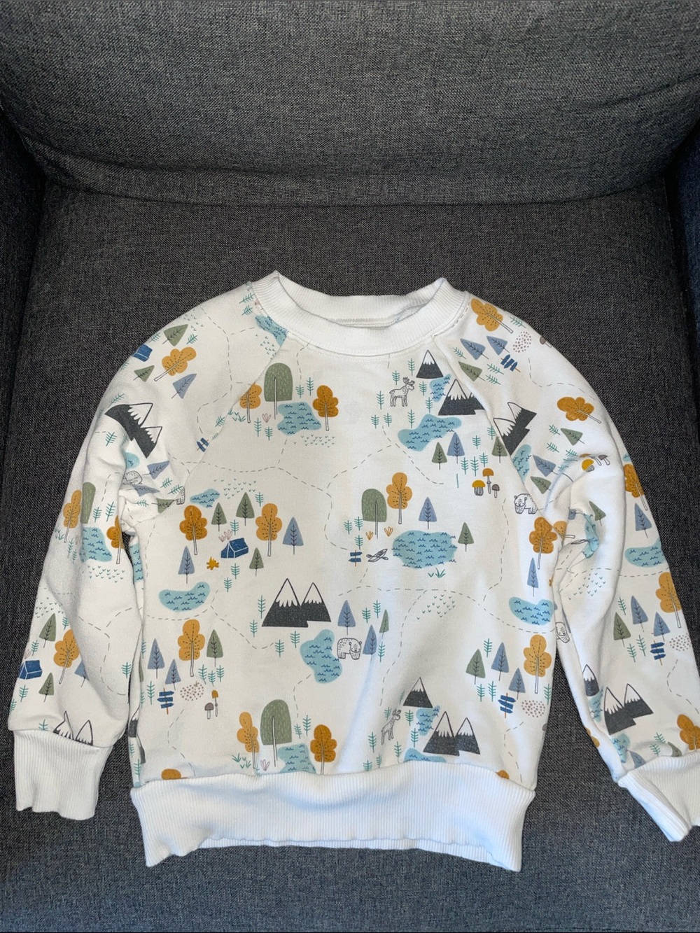 Little Sleepies Mountain Sweatshirt